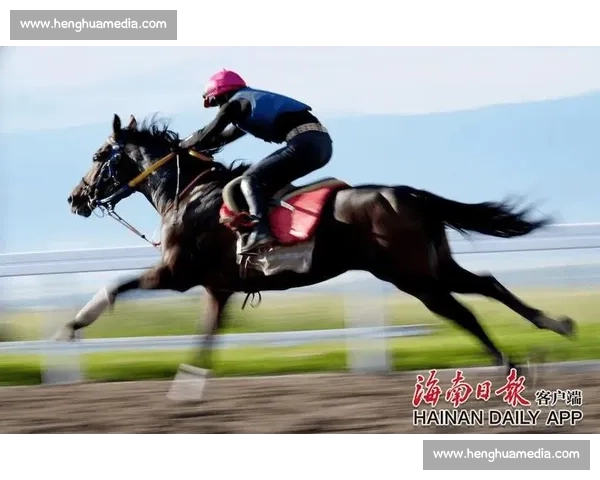 畅享马术盛宴感受速度与激情的完美结合